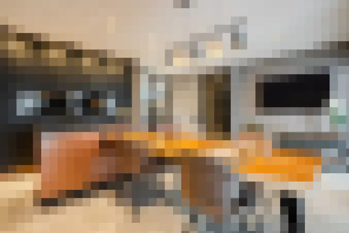 Duizelseweg 4 Eersel thumbnail 4