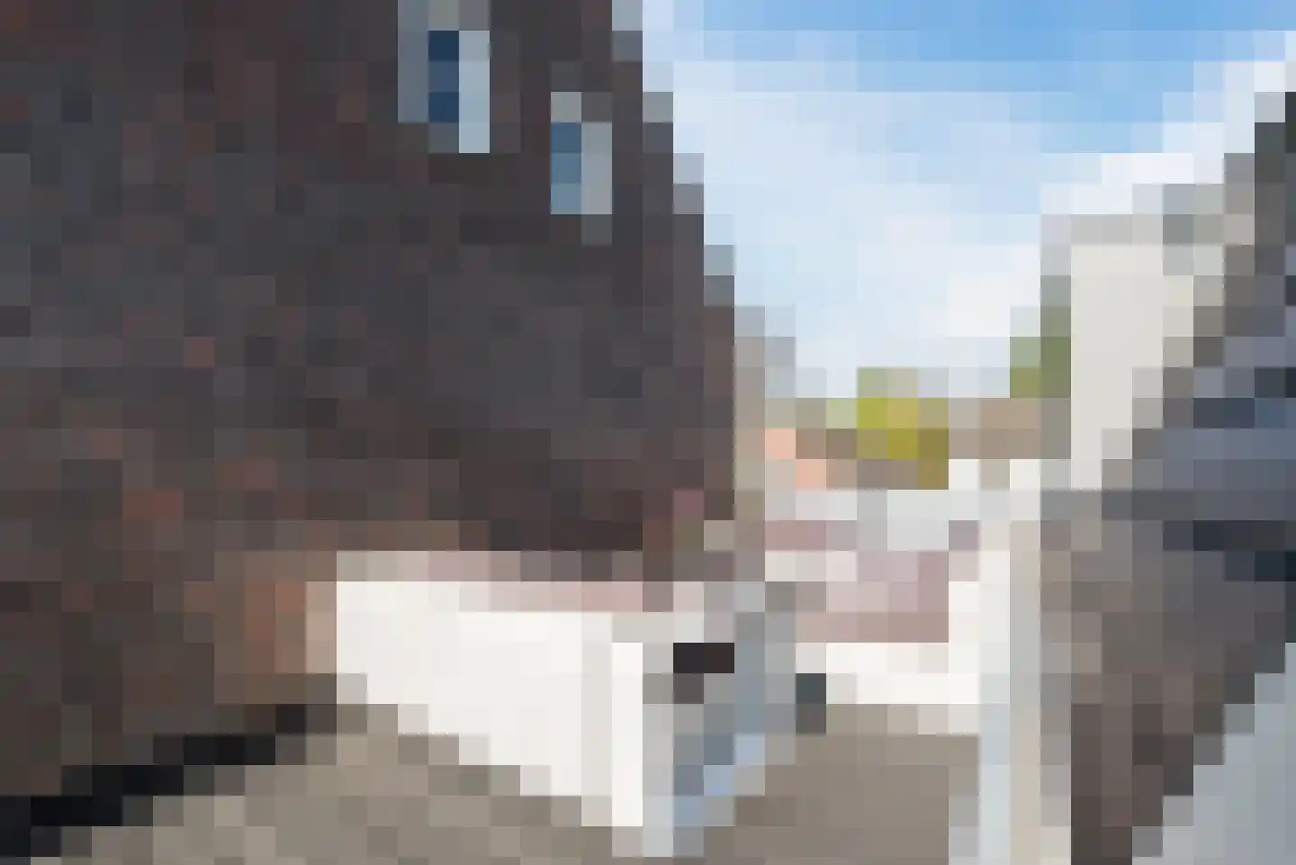 Duizelseweg 4 Eersel thumbnail 40
