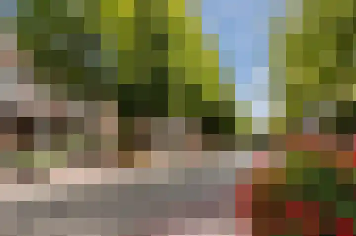 Duizelseweg 4 Eersel thumbnail 52