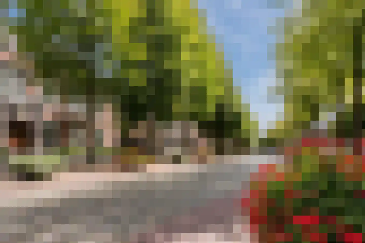 Duizelseweg 4 Eersel thumbnail 52