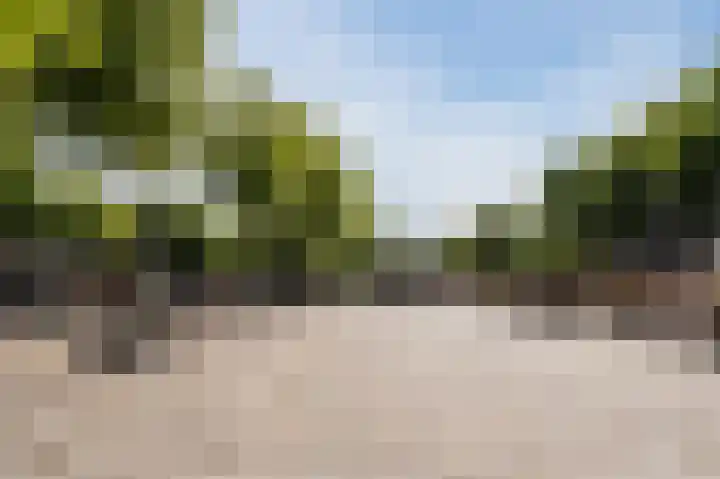 Duizelseweg 5 a Eersel thumbnail 45