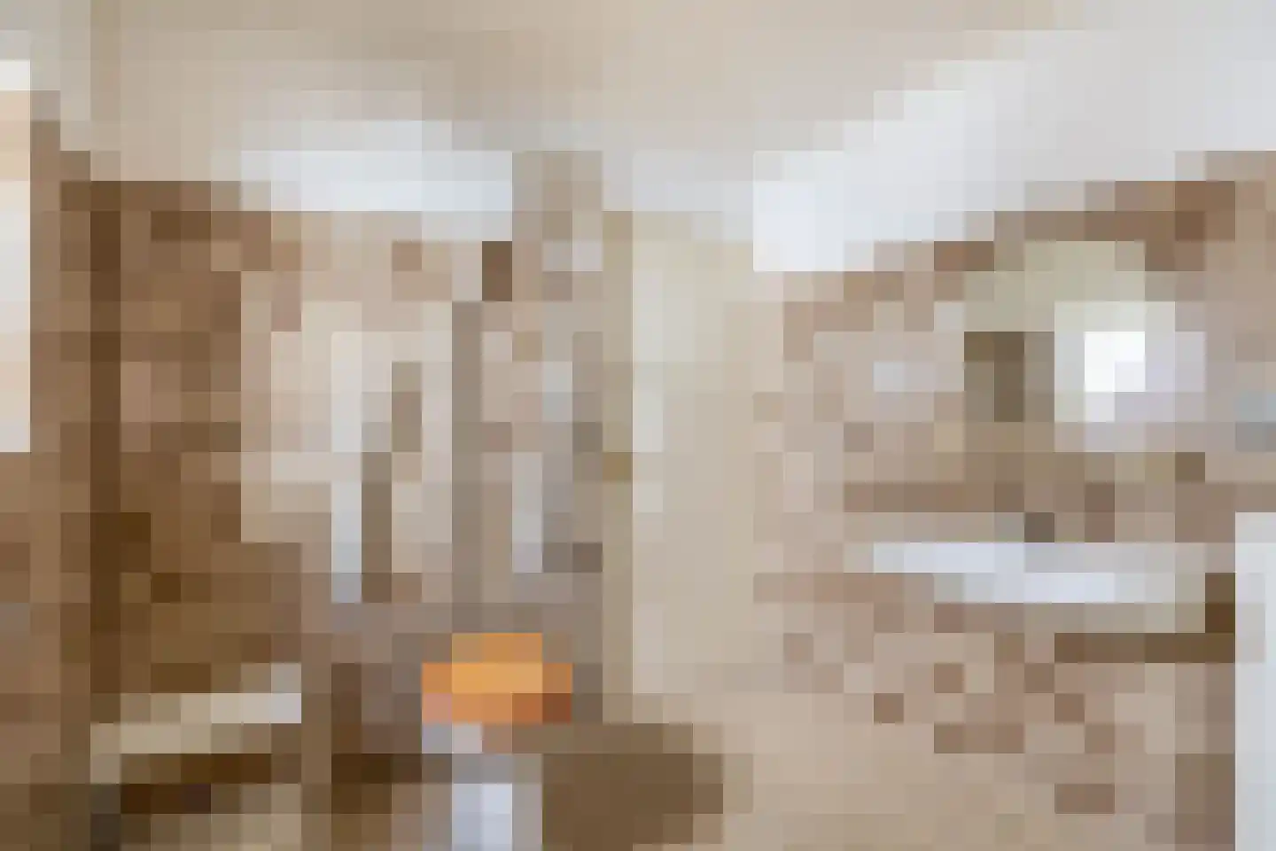 Duizelseweg 7 Eersel thumbnail 18