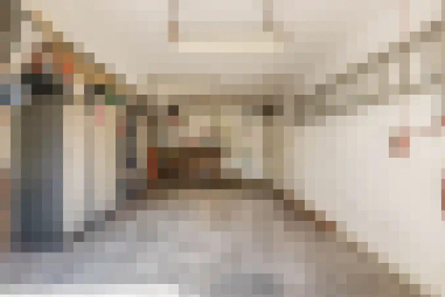 Duizelseweg 7 Eersel thumbnail 33