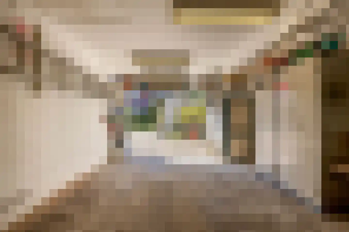 Duizelseweg 7 Eersel thumbnail 34