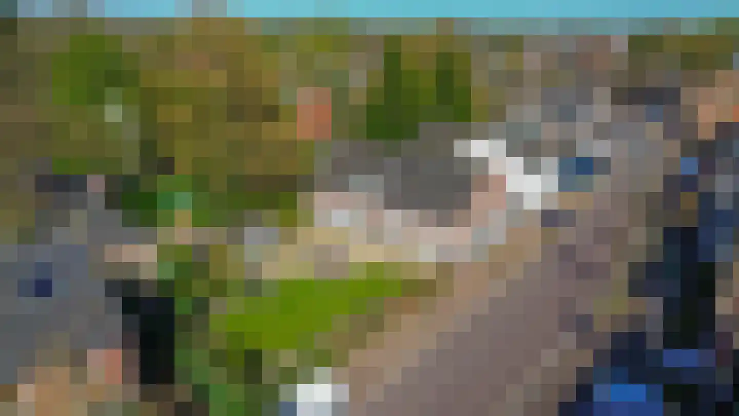 Duizelseweg 7 Eersel thumbnail 38