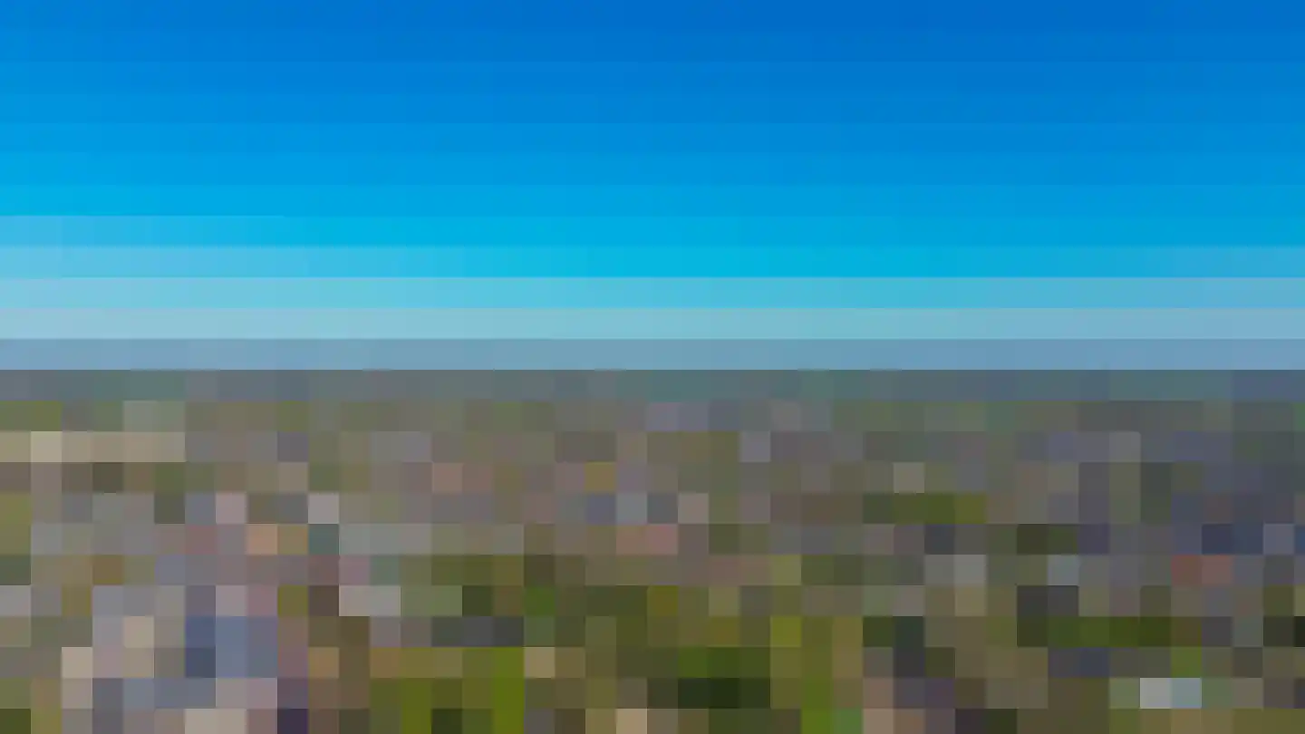 Duizelseweg 7 Eersel thumbnail 44