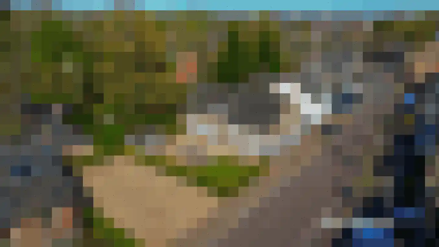 Duizelseweg 7 Eersel thumbnail 46