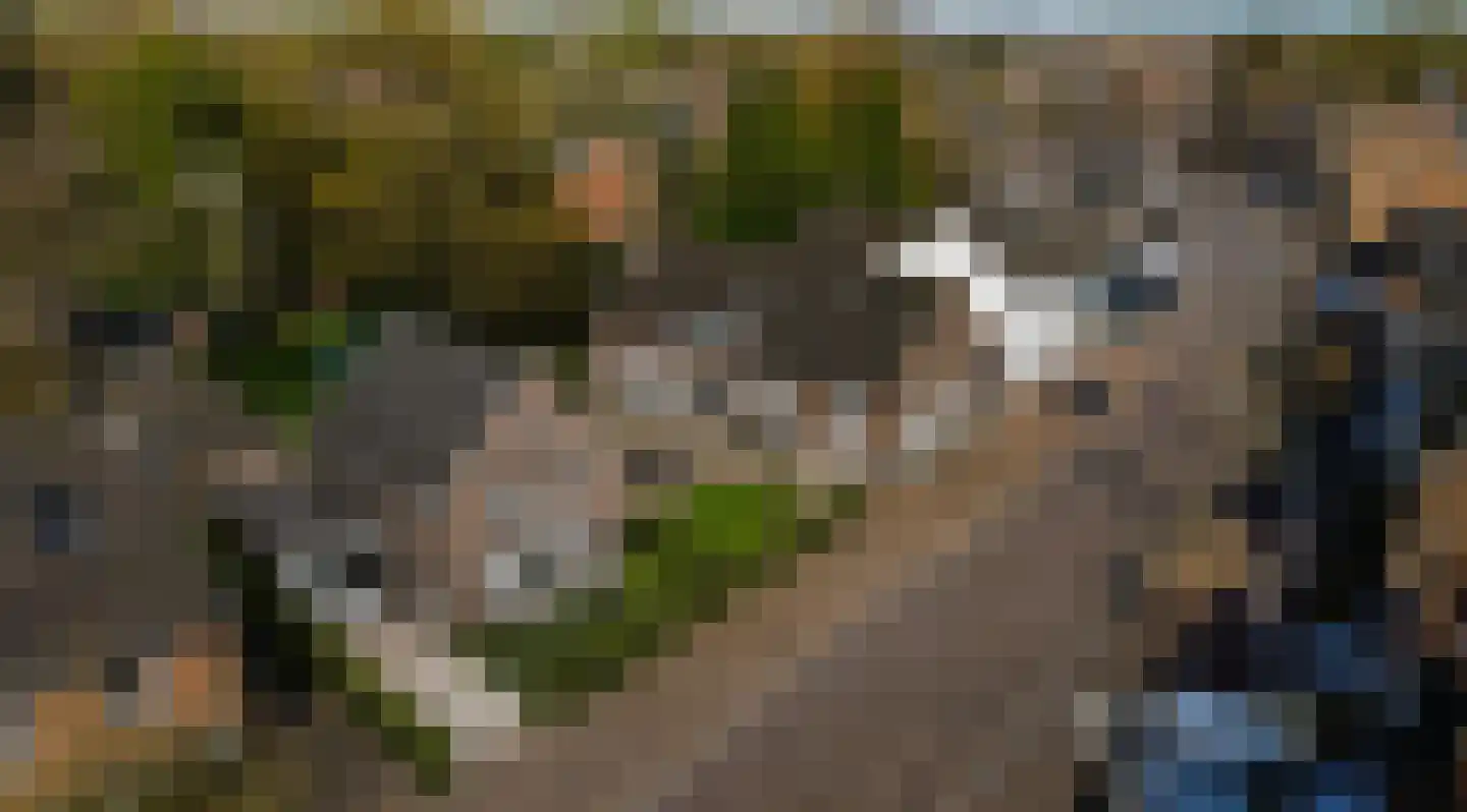 Duizelseweg 7 Eersel thumbnail 47