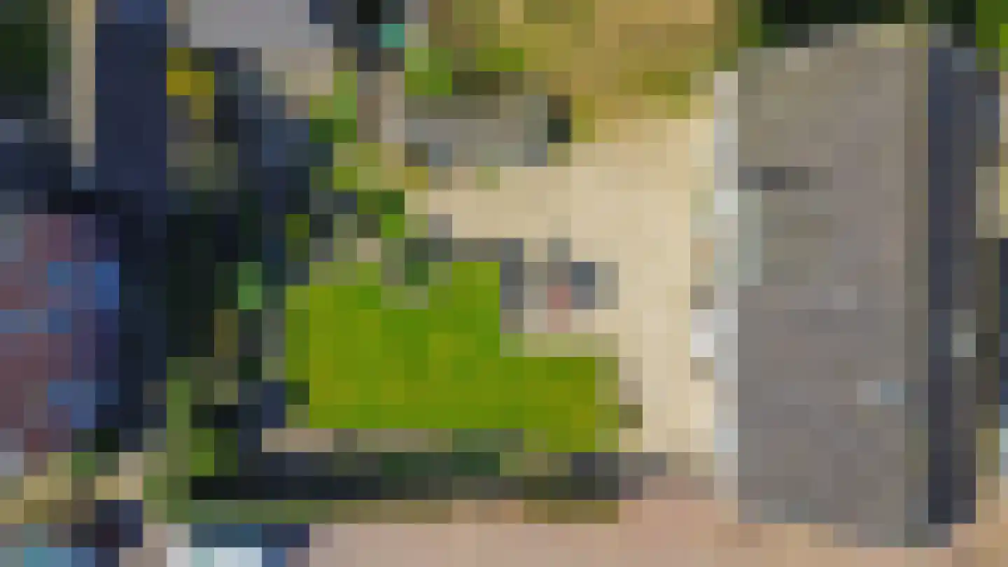 Duizelseweg 7 Eersel thumbnail 49