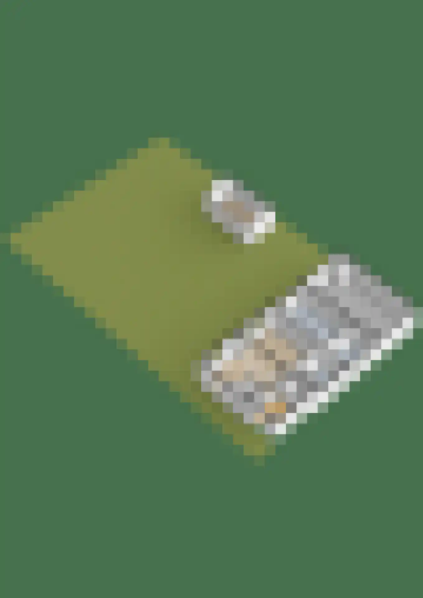 Duizelseweg 7 Eersel thumbnail 62