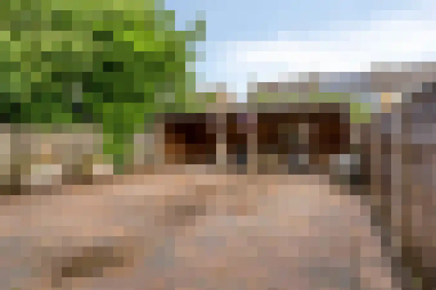 Duizend Roeden 5 Veenendaal thumbnail 33