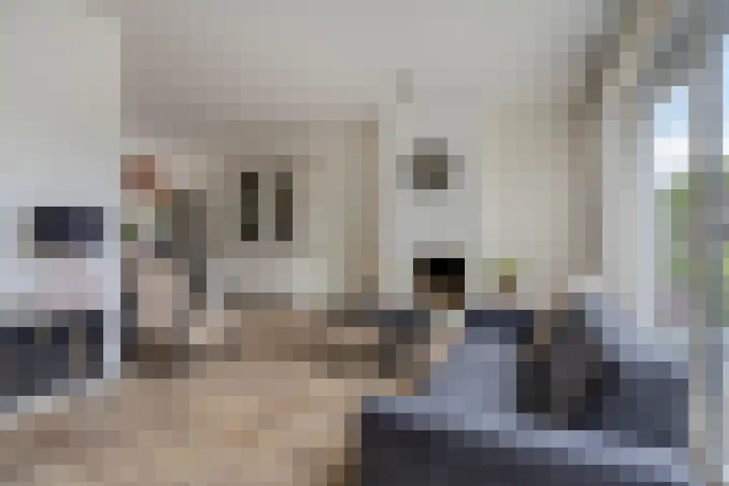Duizend Roeden 5 Veenendaal thumbnail 8