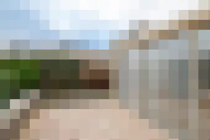 Duizendblad 1 Tiel thumbnail 10