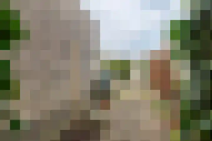 Duizendblad 1 Tiel thumbnail 11