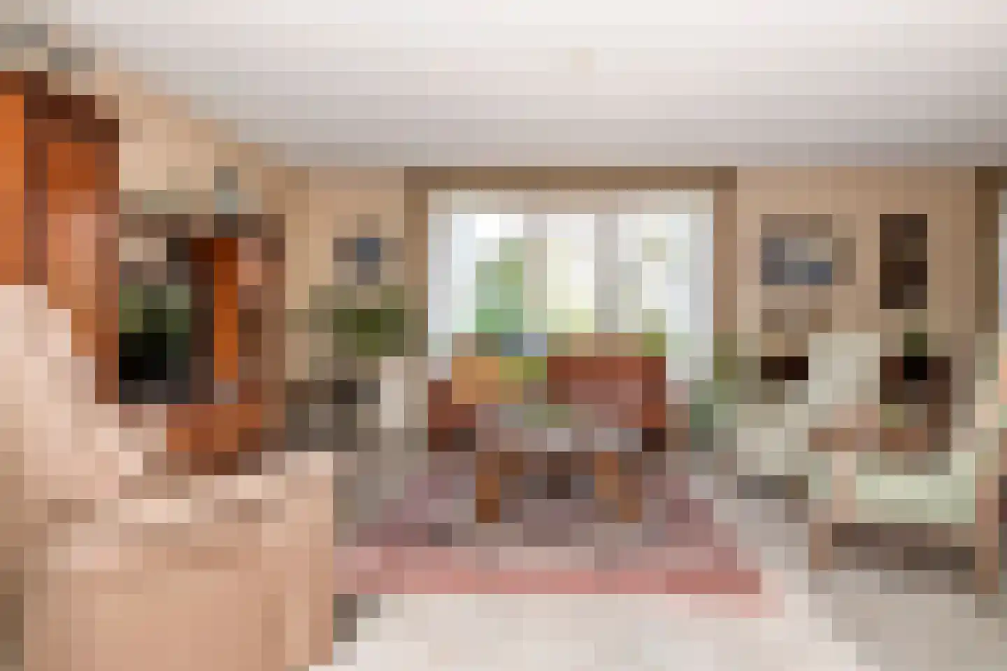 Duizendblad 1 Tiel thumbnail 12