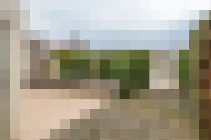 Duizendblad 1 Tiel thumbnail 12