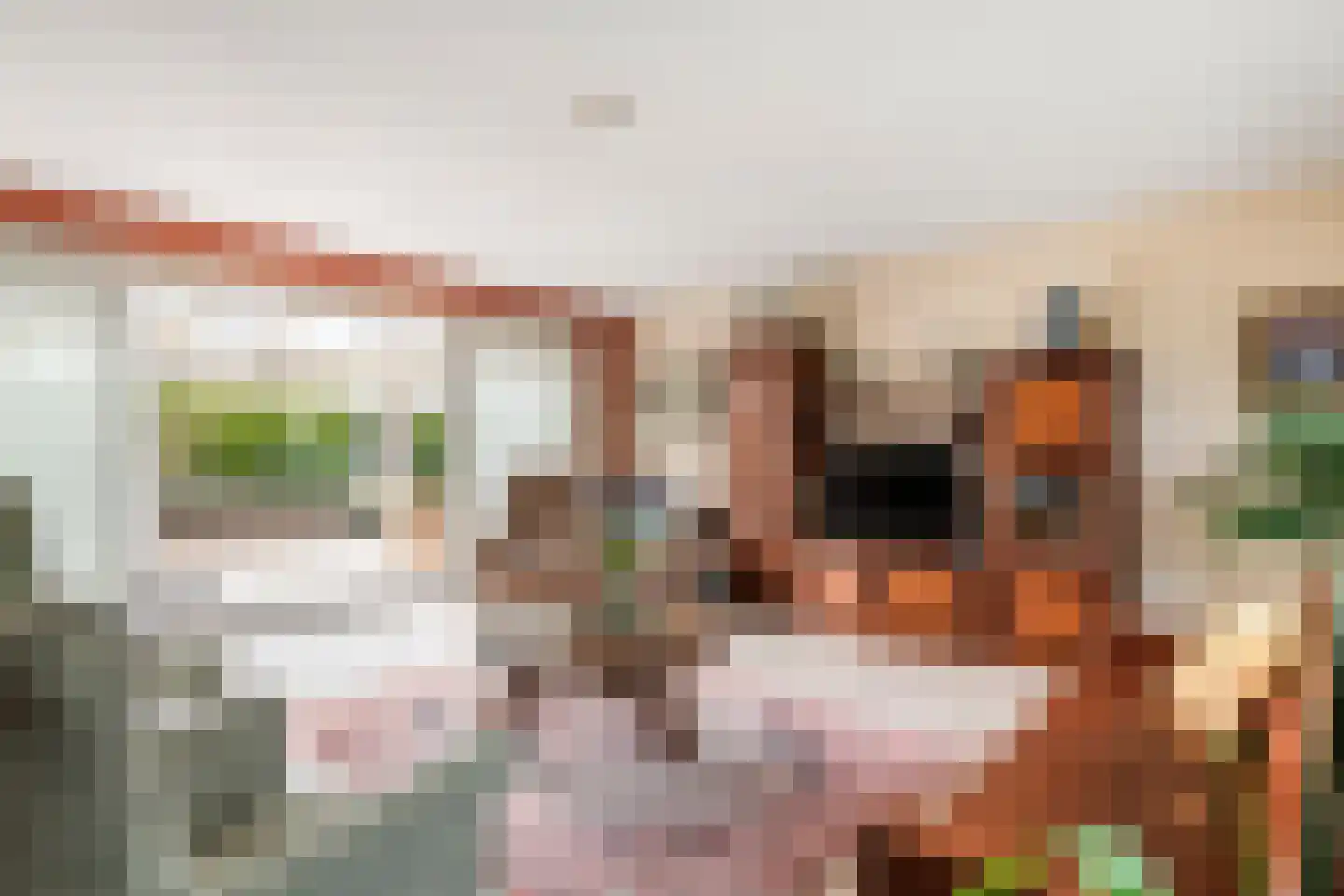 Duizendblad 1 Tiel thumbnail 13