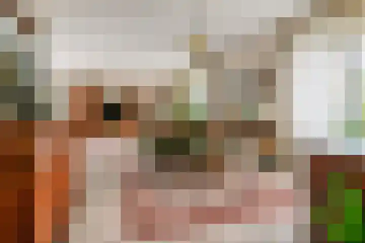Duizendblad 1 Tiel thumbnail 18