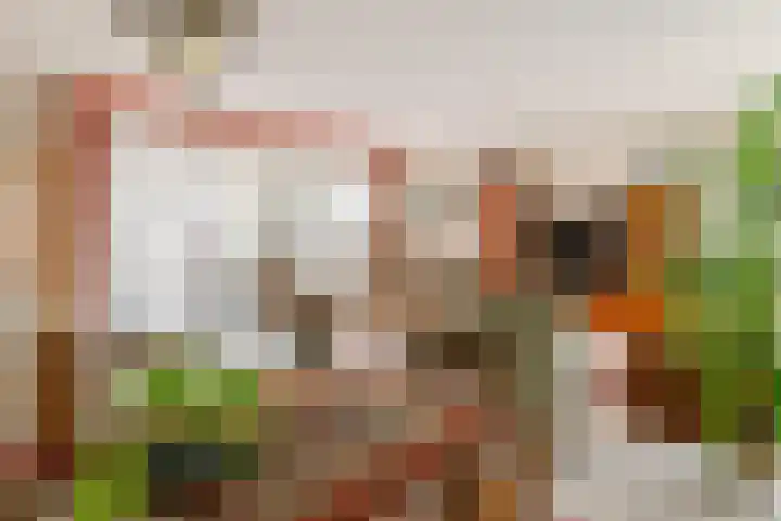 Duizendblad 1 Tiel thumbnail 19