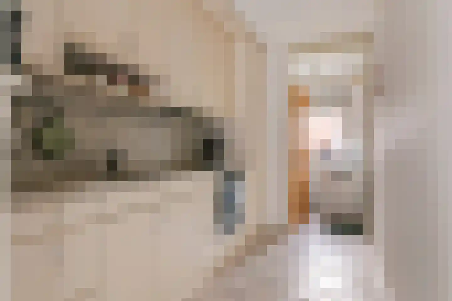Duizendblad 1 Tiel thumbnail 20