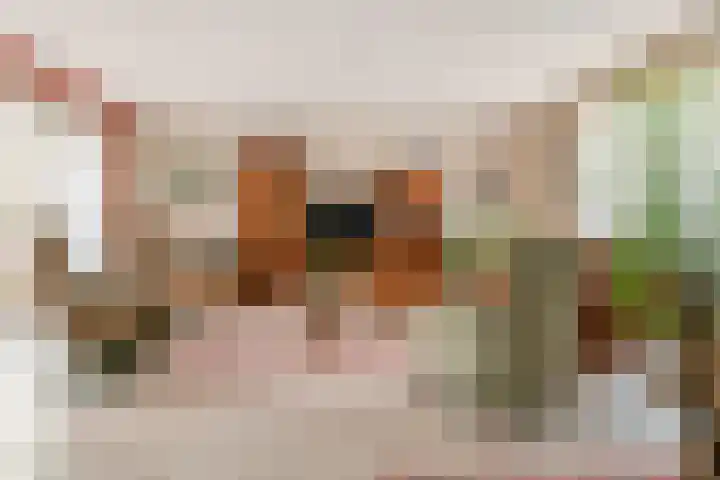 Duizendblad 1 Tiel thumbnail 21