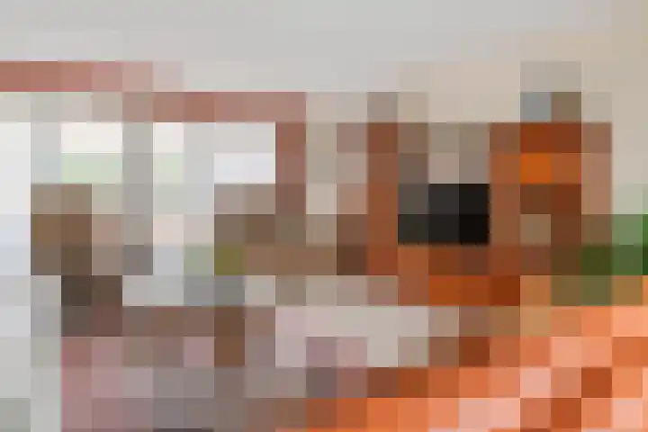 Duizendblad 1 Tiel thumbnail 24