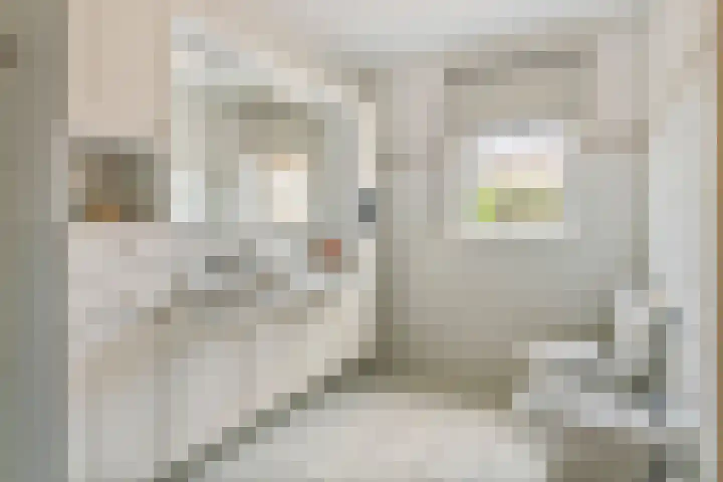 Duizendblad 1 Tiel thumbnail 24