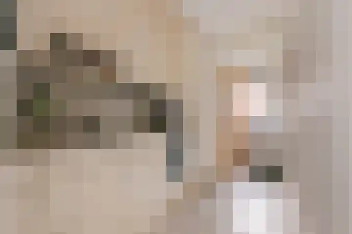 Duizendblad 1 Tiel thumbnail 25