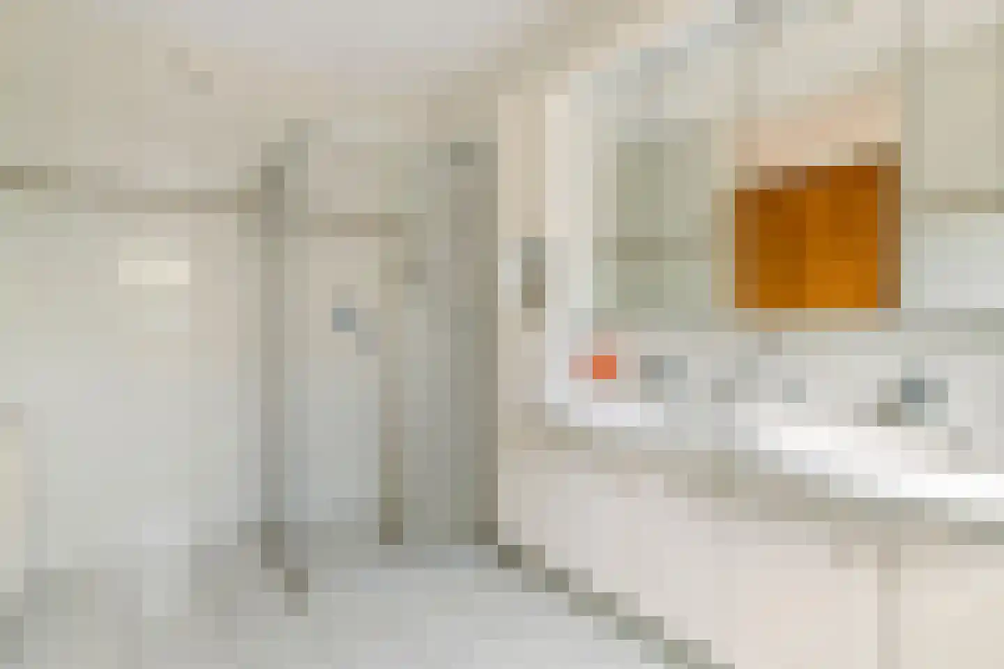 Duizendblad 1 Tiel thumbnail 25
