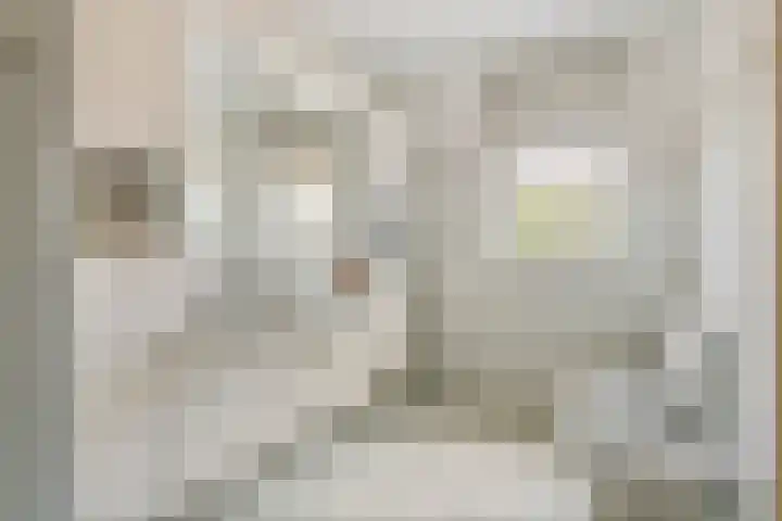 Duizendblad 1 Tiel thumbnail 32