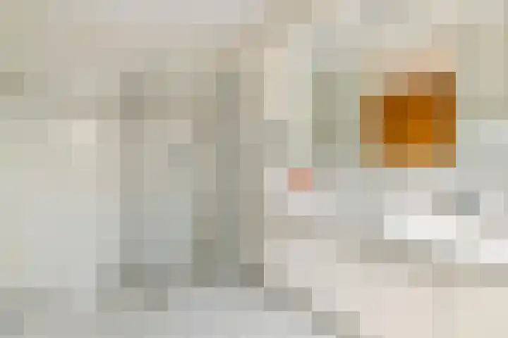 Duizendblad 1 Tiel thumbnail 33