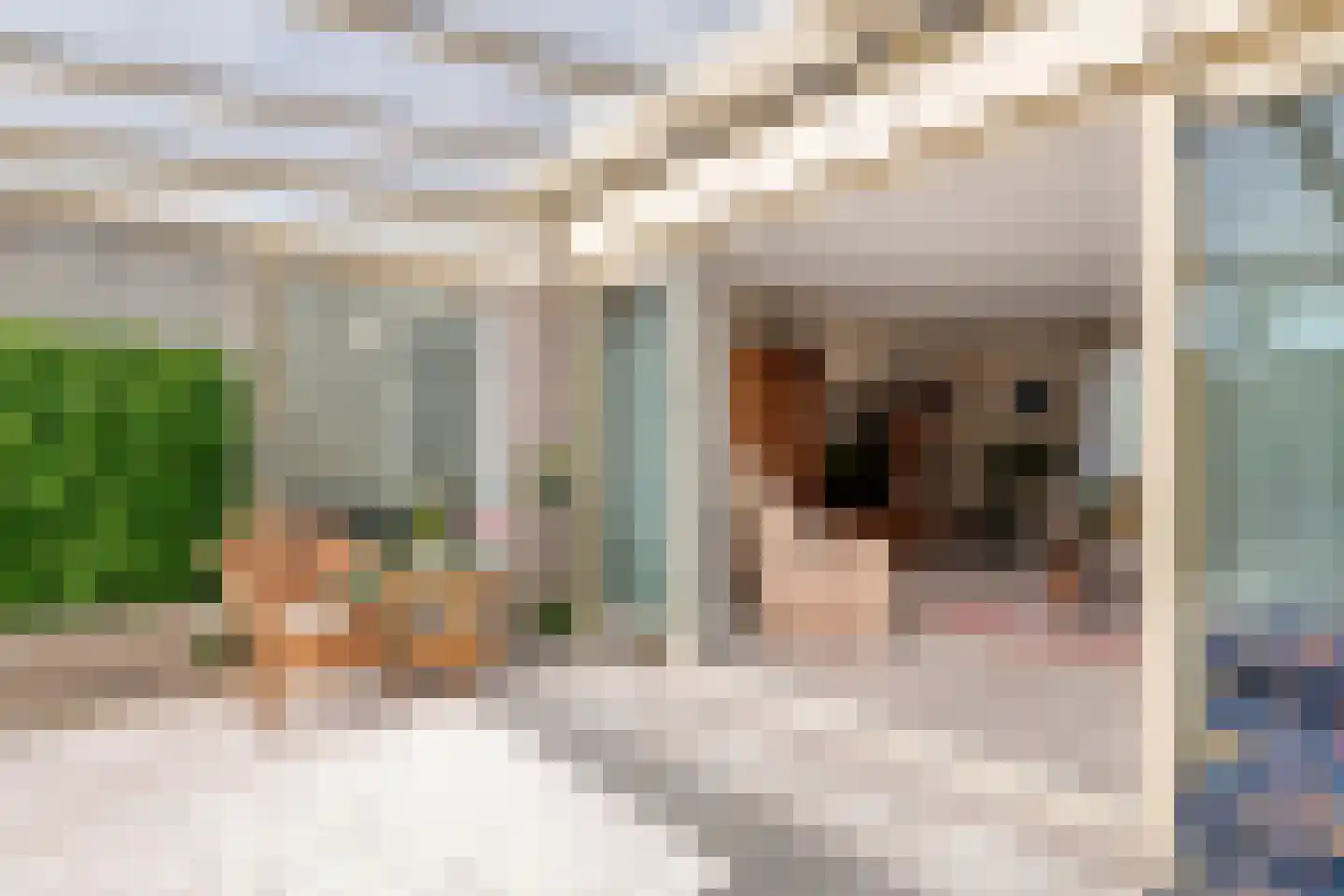 Duizendblad 1 Tiel thumbnail 34