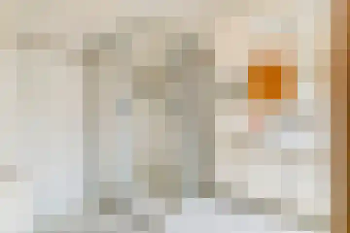 Duizendblad 1 Tiel thumbnail 34