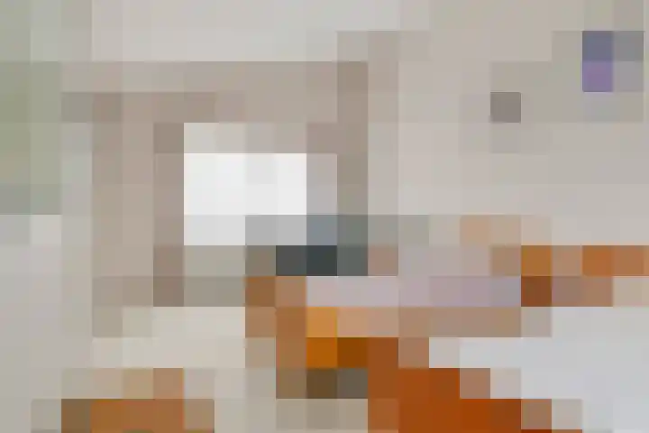 Duizendblad 1 Tiel thumbnail 36