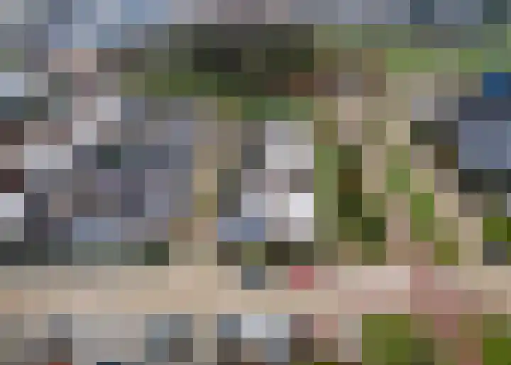 Duizendblad 1 Tiel thumbnail 39