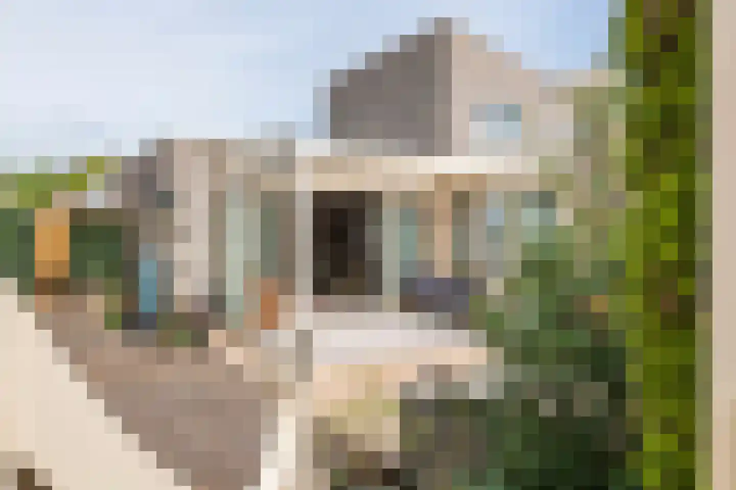 Duizendblad 1 Tiel thumbnail 39