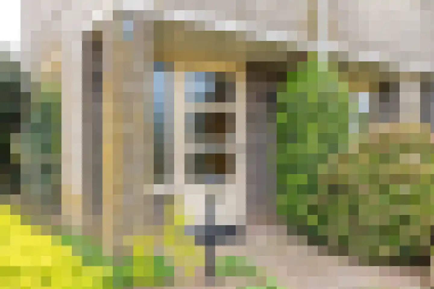 Duizendblad 1 Tiel thumbnail 4