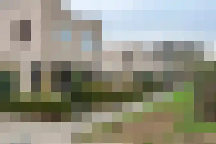 Duizendblad 1 Tiel thumbnail 4