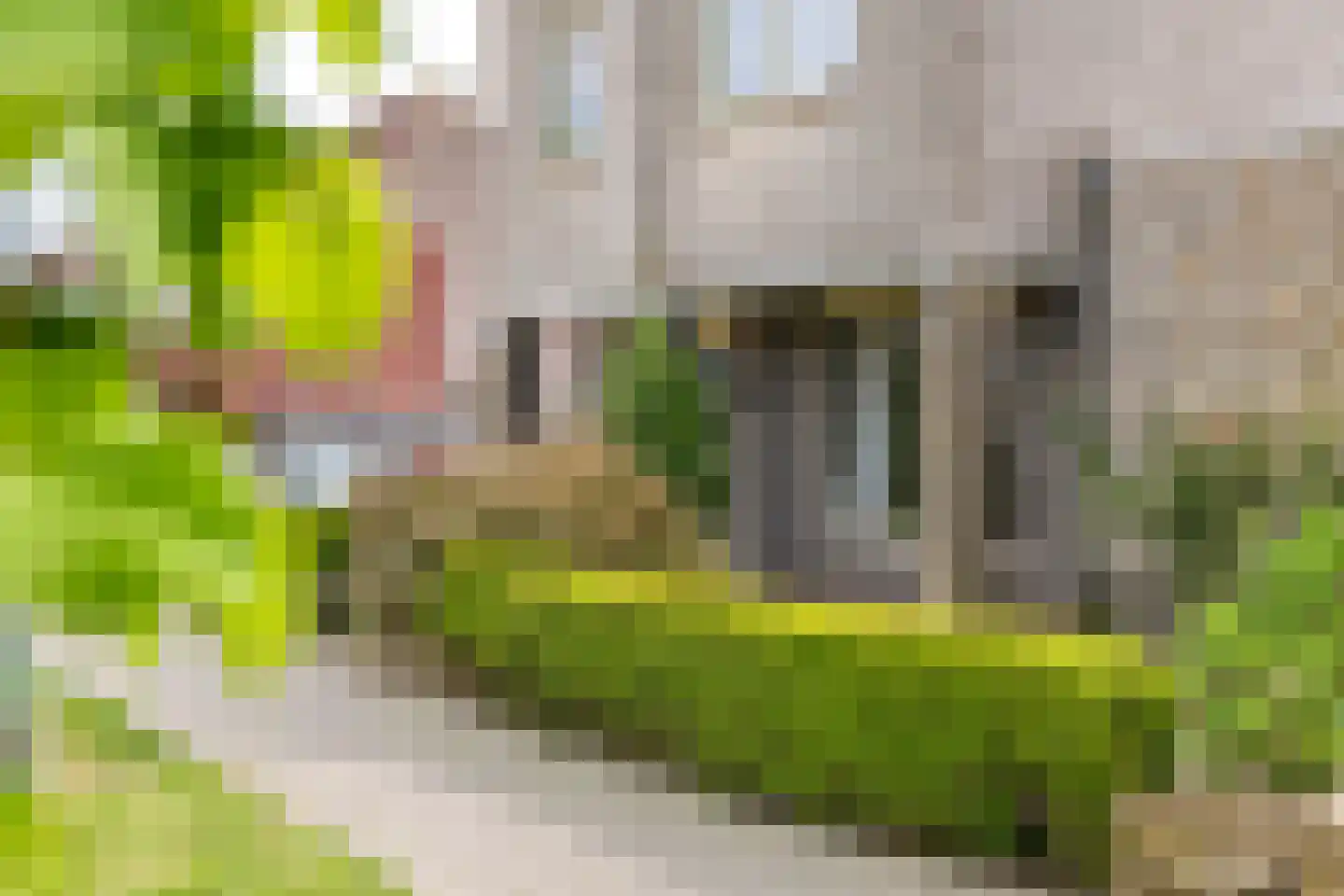 Duizendblad 1 Tiel thumbnail 44