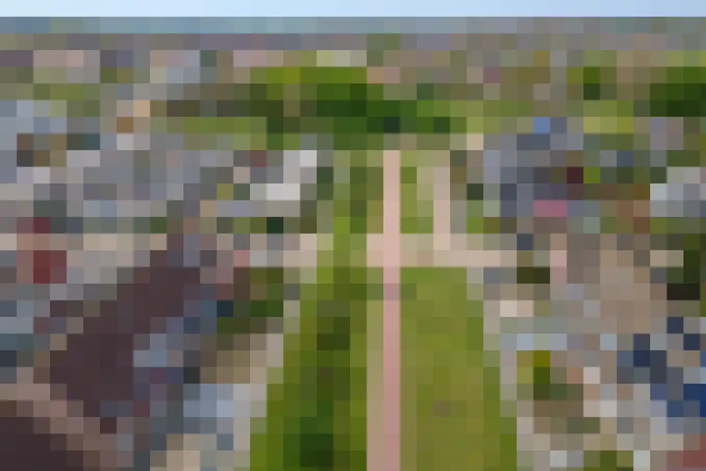 Duizendblad 1 Tiel thumbnail 47