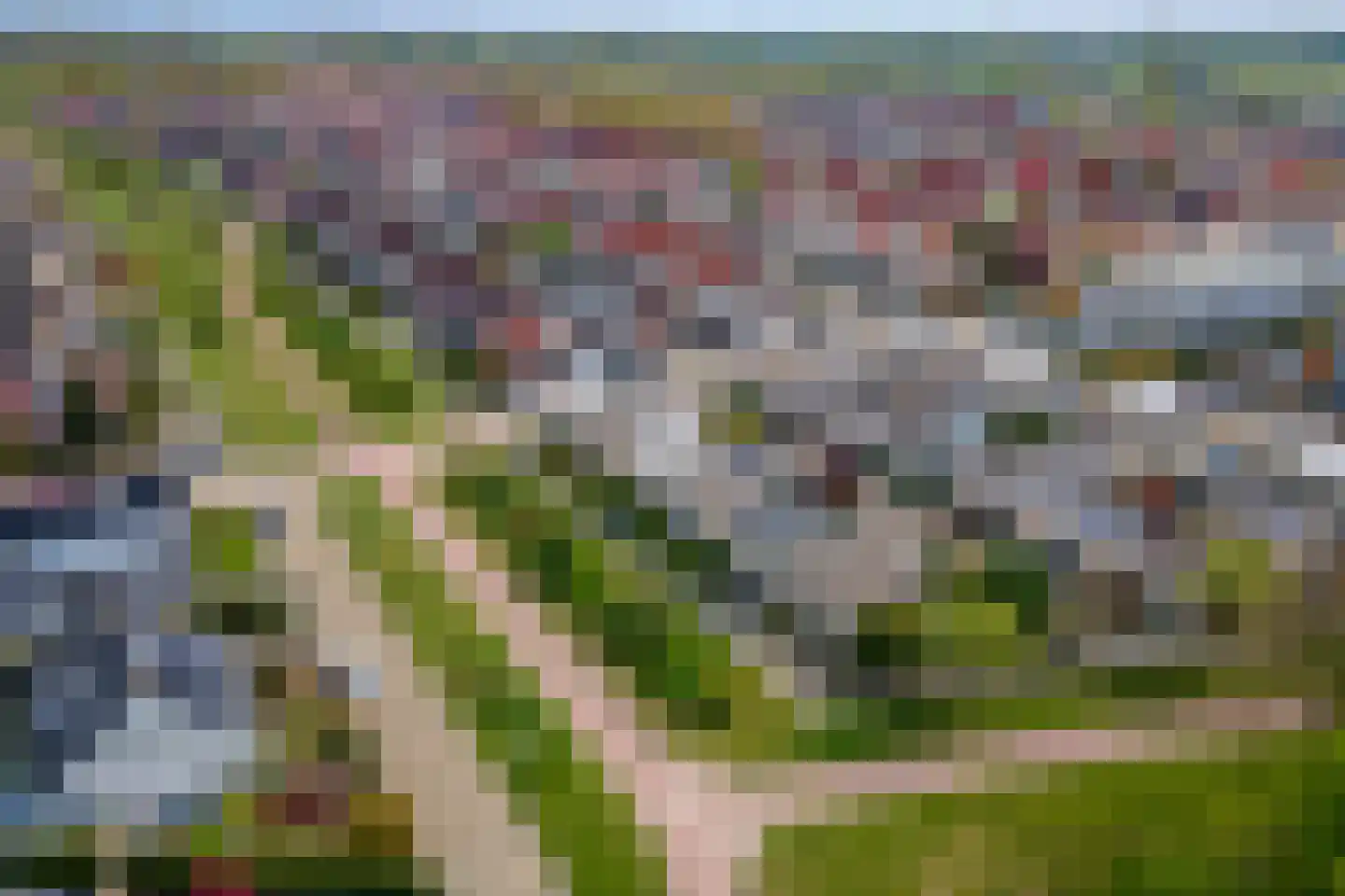 Duizendblad 1 Tiel thumbnail 48