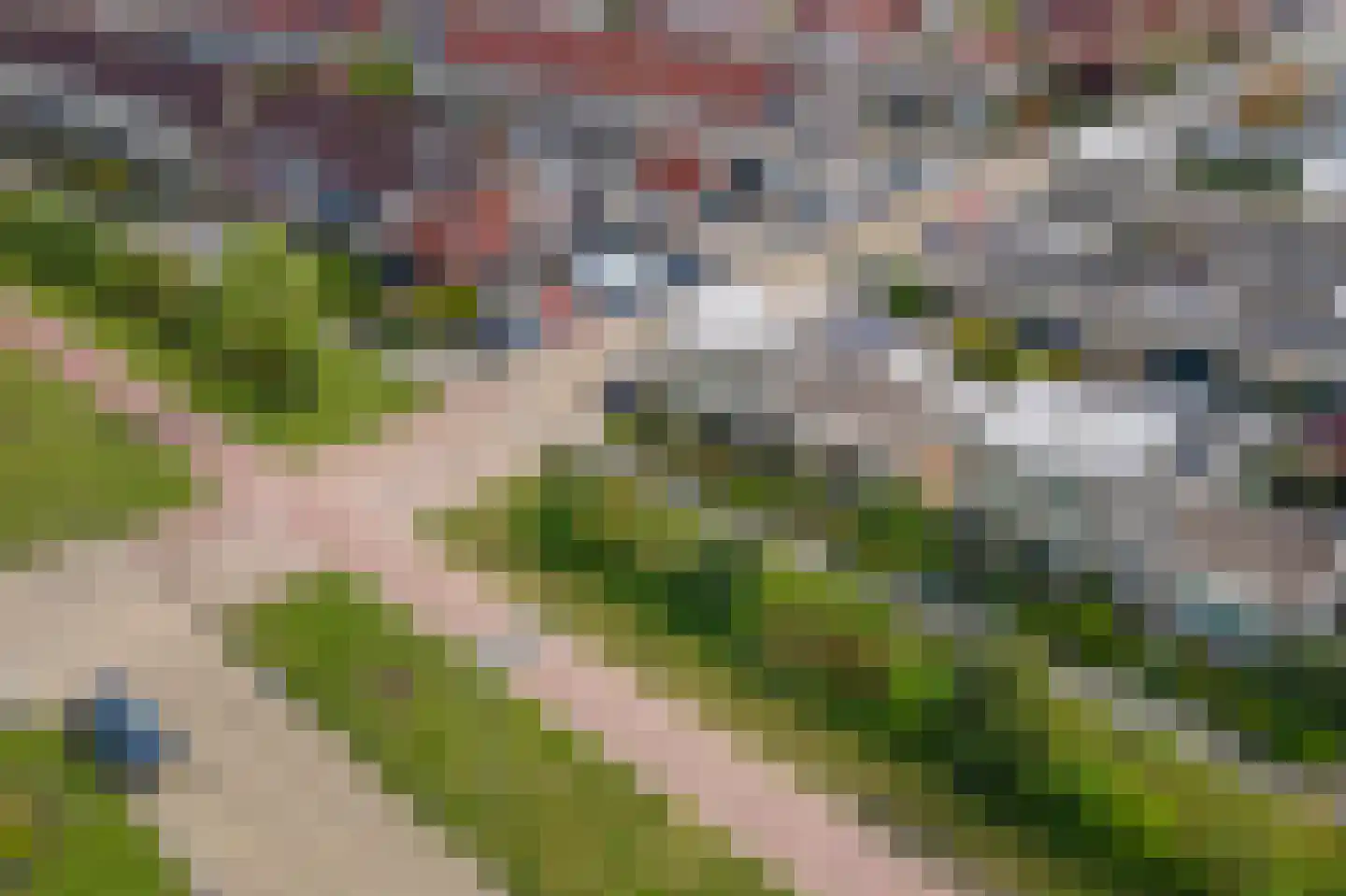 Duizendblad 1 Tiel thumbnail 49