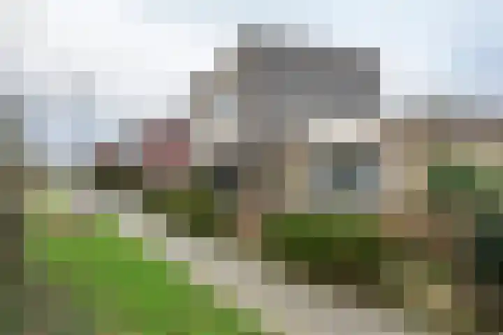 Duizendblad 1 Tiel thumbnail 5