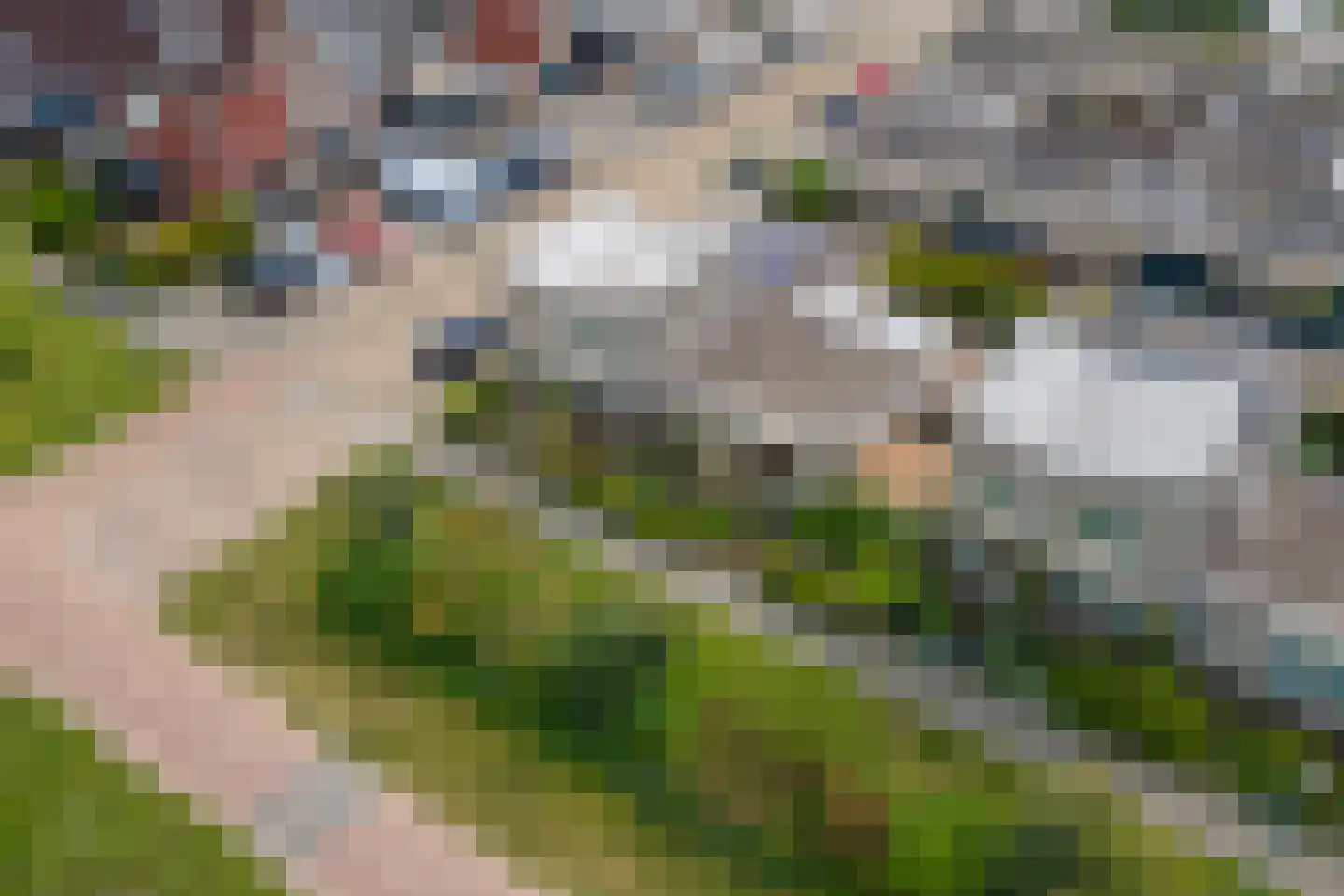 Duizendblad 1 Tiel thumbnail 50