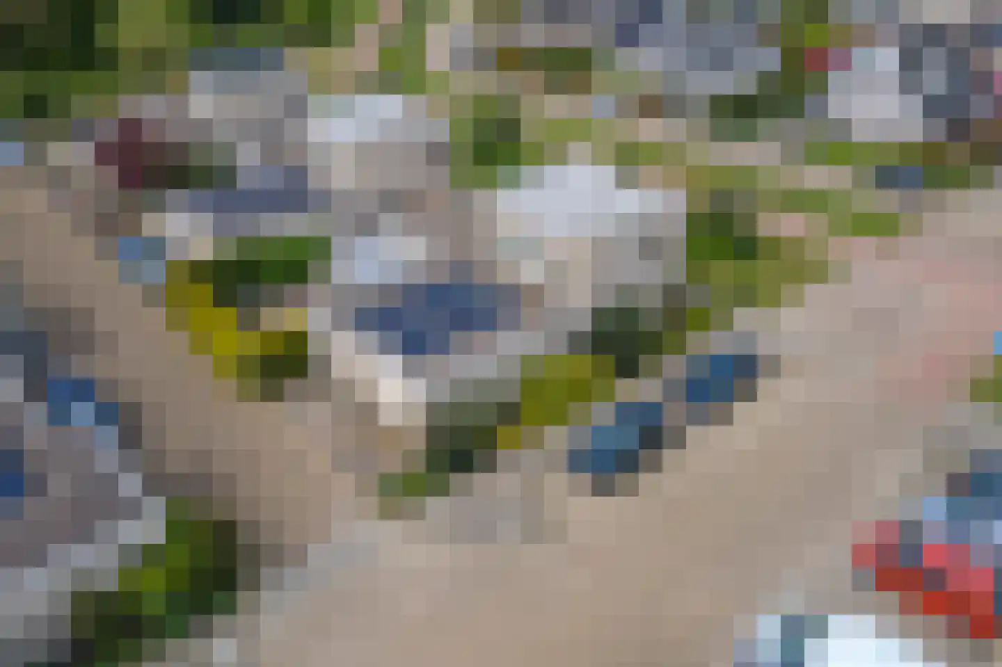 Duizendblad 1 Tiel thumbnail 51