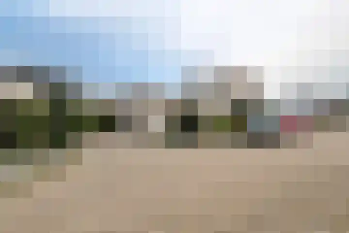 Duizendblad 1 Tiel thumbnail 6