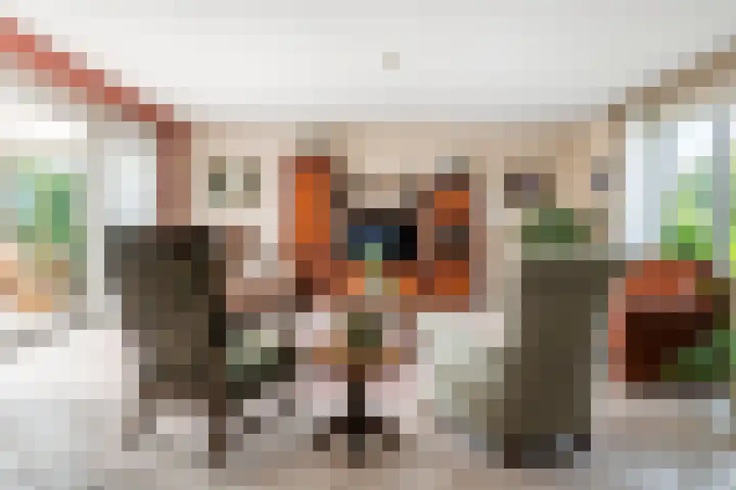 Duizendblad 1 Tiel thumbnail 7