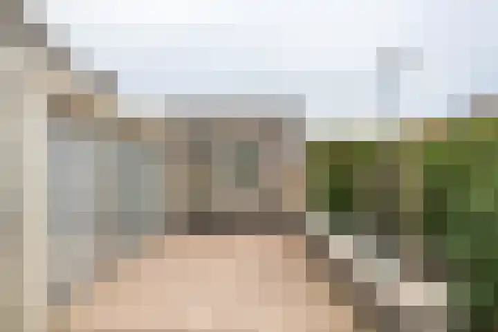 Duizendblad 1 Tiel thumbnail 9