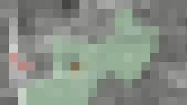 Duizendblad 10 Breda thumbnail 10