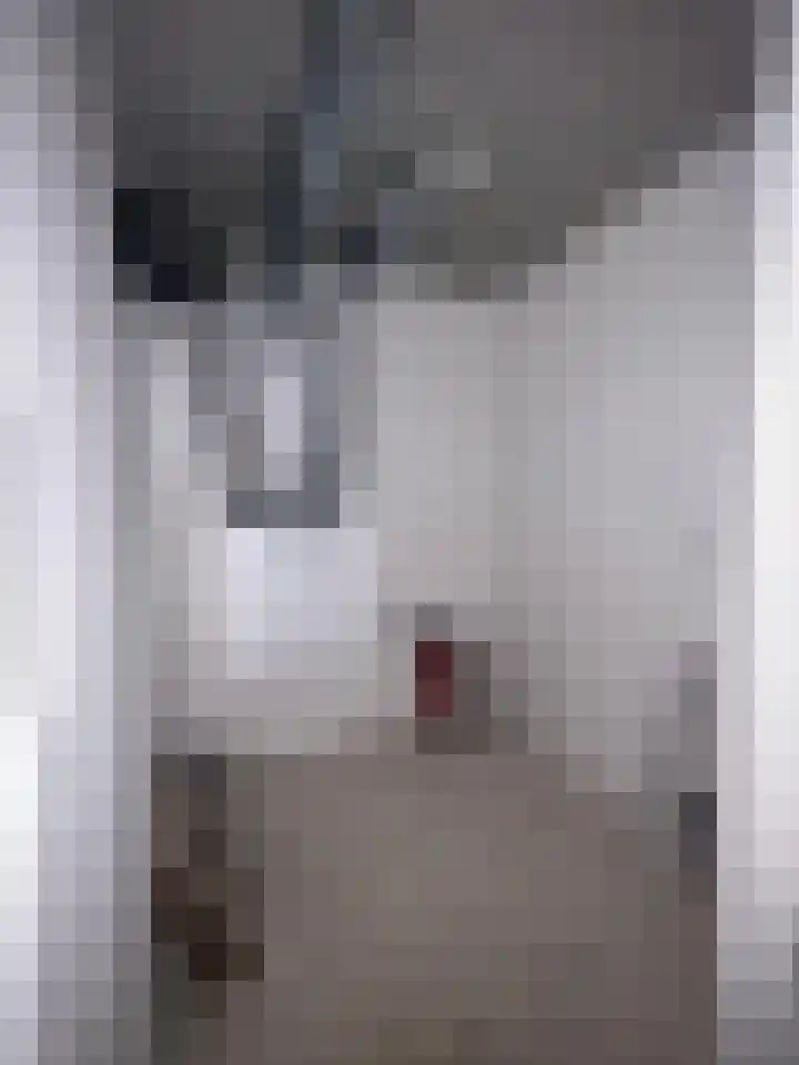 Duizendblad 10 Breda thumbnail 17